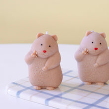 Load image into Gallery viewer, Peace Out Hamster