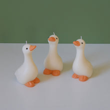 Load image into Gallery viewer, Silly Goose