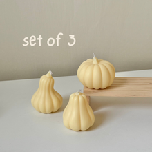Load image into Gallery viewer, Pumpkin

