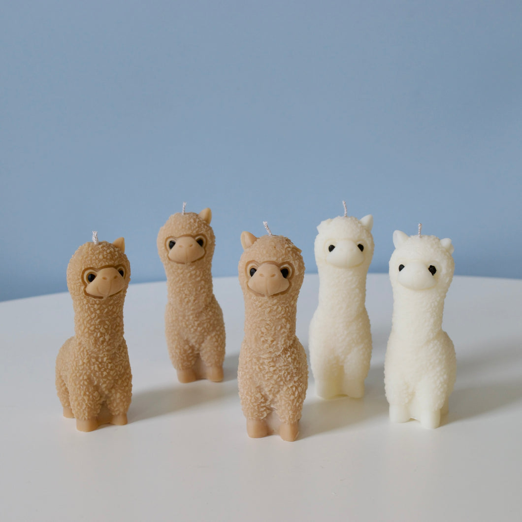 SALE - Alpaca