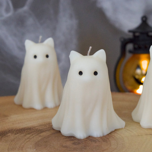 Halloween Cat